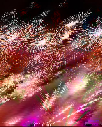 I botti di capodanno e gli animali