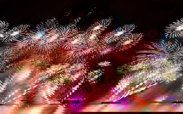 I botti di capodanno e gli animali