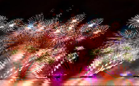 I botti di capodanno e gli animali article-post