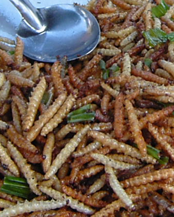 Vermi nelle patatine…