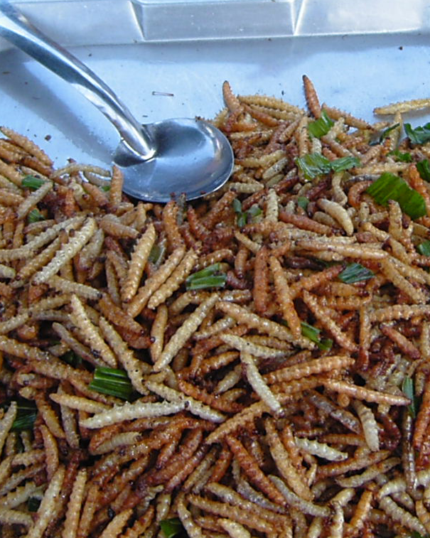 Vermi nelle patatine… article-post