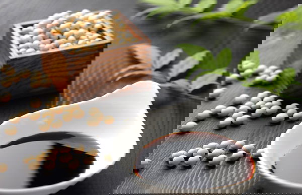 La salsa di soya e la sperimentazione animale