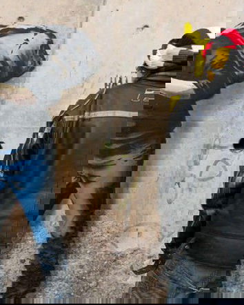 Steve Jobs figlio di un rifugiato siriano?