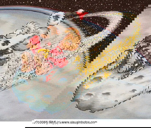 L’asteroide della notte di Natale