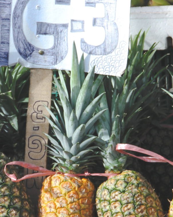 L’ananas al forno… sfatiamo qualche mito article-post