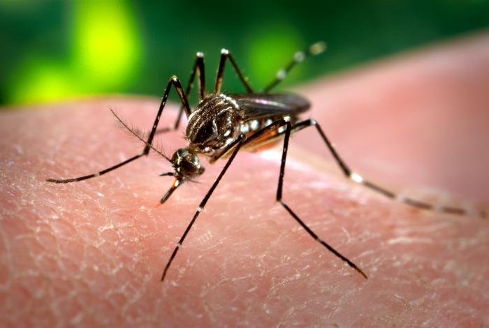 Il virus Zika, il metodo scientifico e il giornalismo article-post