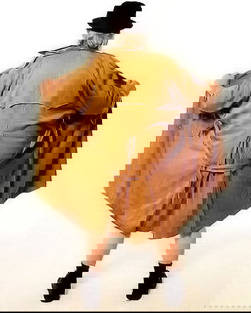 Pseudogiornalismo: la depenalizzazione degli atti osceni in luogo pubblico.