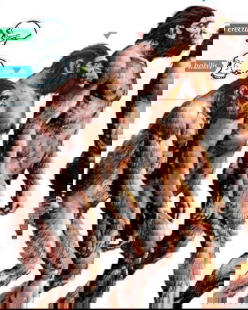 La dieta fruttariana nell’uomo primitivo