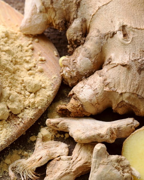 Lo zenzero panacea di tanti mali article-post