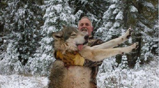 L’ultimo bastardo dell’anno (ovvero, i lupi dell’Idaho)