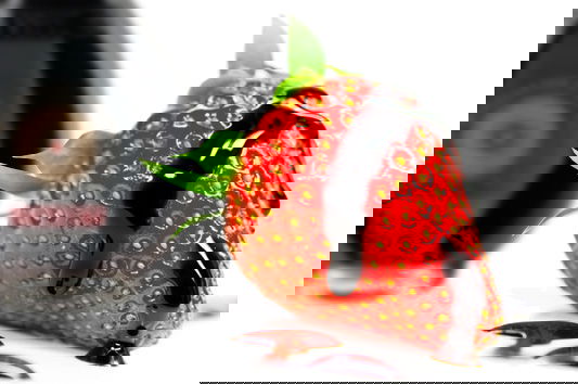 L’aceto di vino sparito per colpa del Corano? article-post