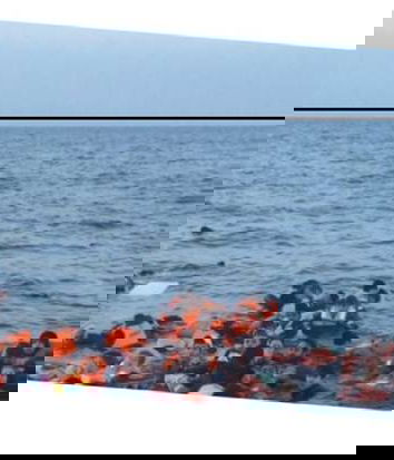 “30 cm d’acqua per fregarci”?