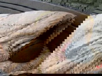 Senzatetto morto a Desenzano del Garda