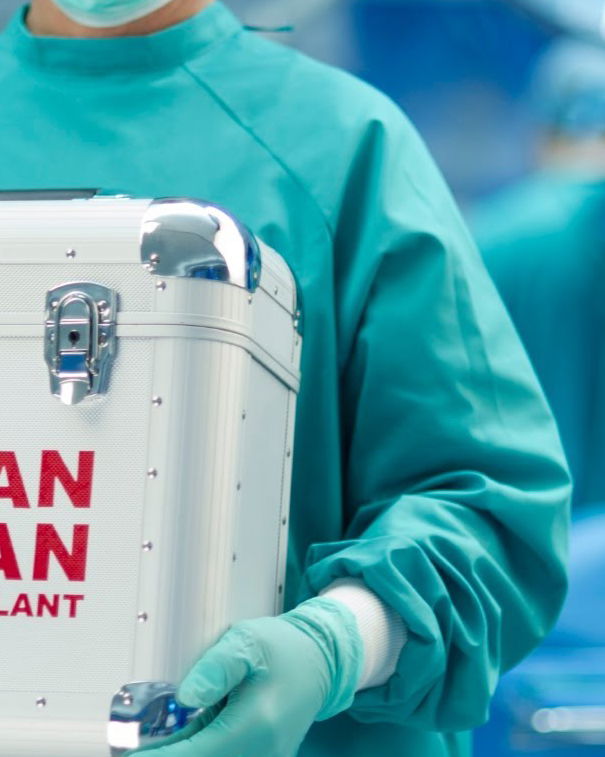 Organi espiantati ai combattenti palestinesi? article-post