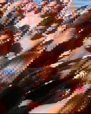 Il delfino morto per i selfie