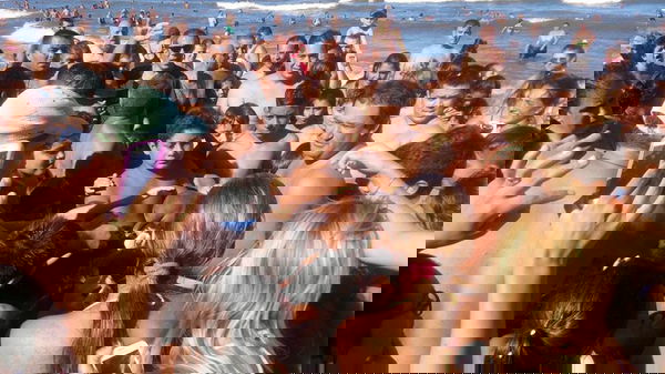 Il delfino morto per i selfie