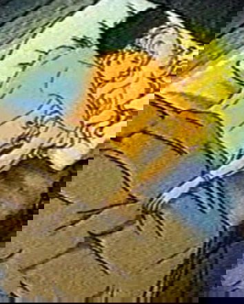 La Svezia, il Giornale l’incesto e la necrofilia