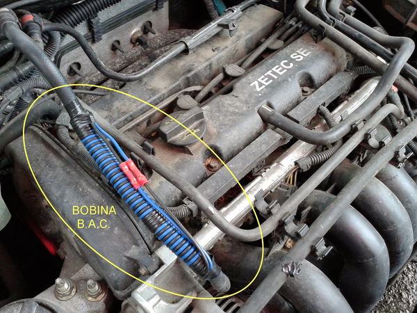 La bobina BAC