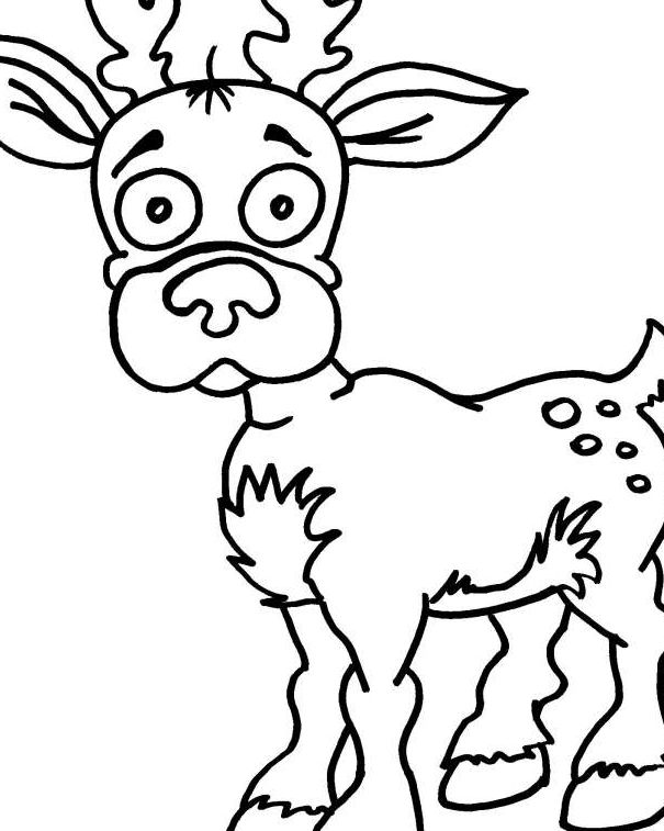 Ilquotidaino article-post