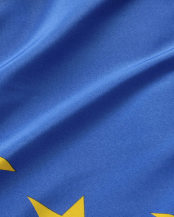 L’Unione Europea, direttive, diktat e leggende urbane article-post