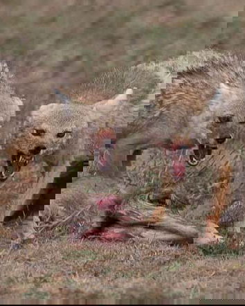 False Flag: Fusi orari questi sconosciuti