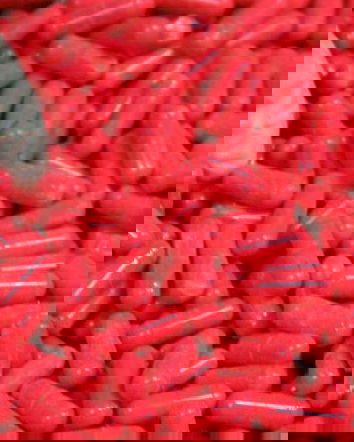 Beppe Grillo e il Daily Mail