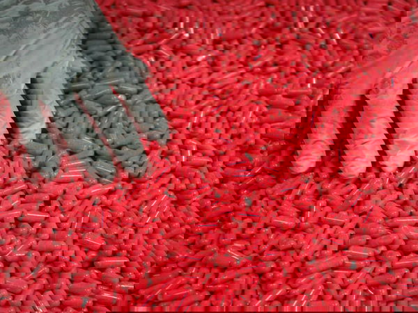 Beppe Grillo e il Daily Mail