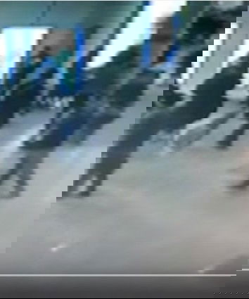 Pseudogiornalismo, disinformazione e sciacalli