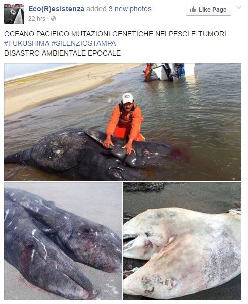 Mutazioni genetiche nei pesci…