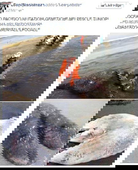 Mutazioni genetiche nei pesci… article-post