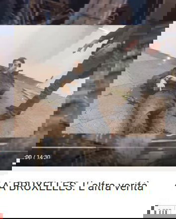 Bruxelles: l’altra verità (?)