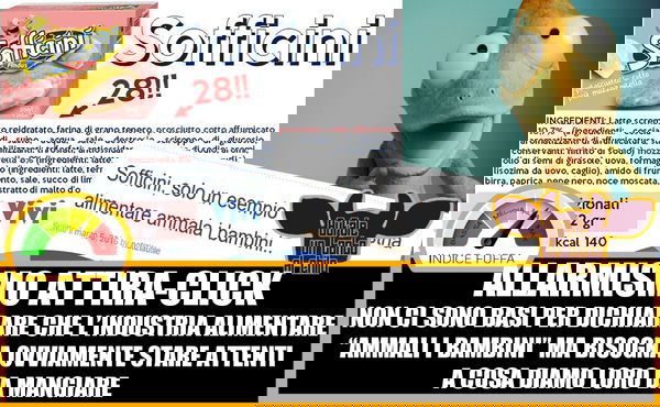 Gli ingredienti dei sofficini