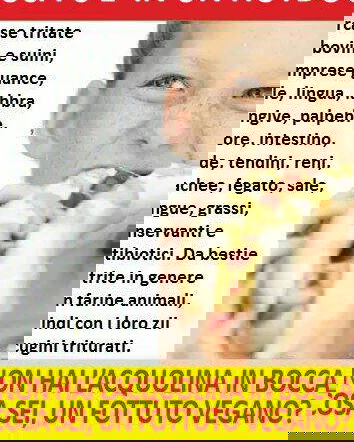 “Cosa c’è in un hot dog?”