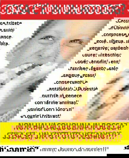 “Cosa c’è in un hot dog?” article-post