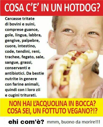 “Cosa c’è in un hot dog?”