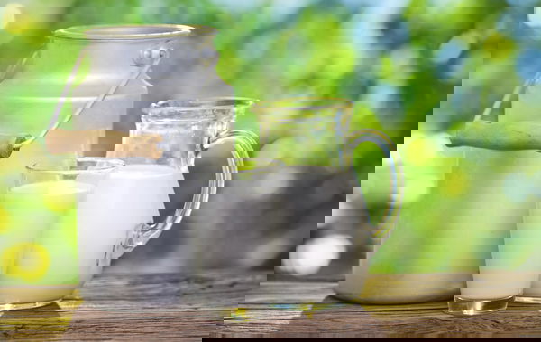 La Parmalat e il latte dalla Cina