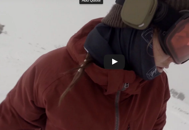 L’orso, la snowboarder e l’impossibilità della verifica article-post