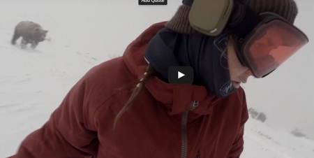 L’orso, la snowboarder e l’impossibilità della verifica article-post