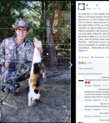 La codarda che caccia i gatti (ovvero i gatti rinselvatichiti australiani)