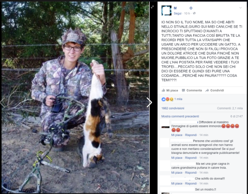 La codarda che caccia i gatti (ovvero i gatti rinselvatichiti australiani) article-post