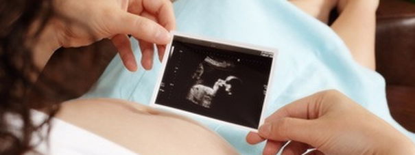 L’Agenzia per la giustizia in Italia e la fuffa article-post