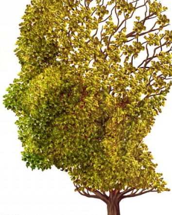 Alzheimer sconfitto in una settimana?