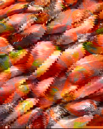 BigFood e l’olio di palma?