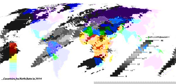 Le dichiarazioni dei ministri
