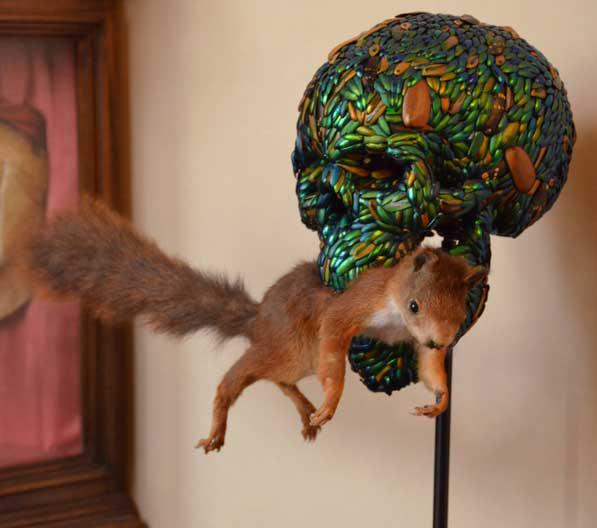 Gatti morti in mostra a Firenze?