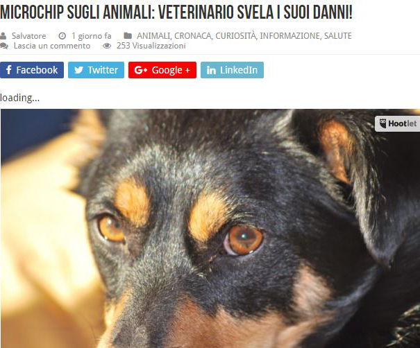 I danni del microchip sugli animali article-post