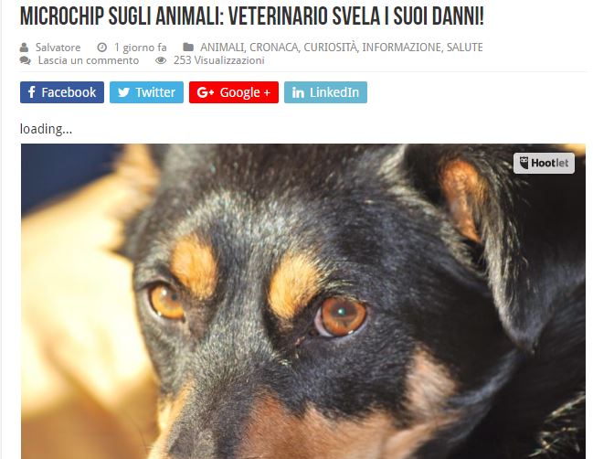 I danni del microchip sugli animali article-post