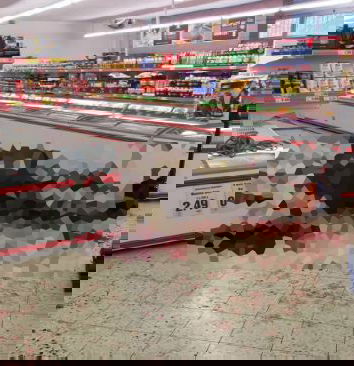 La mucca uccisa a Bologna