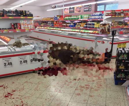 La mucca uccisa a Bologna article-post