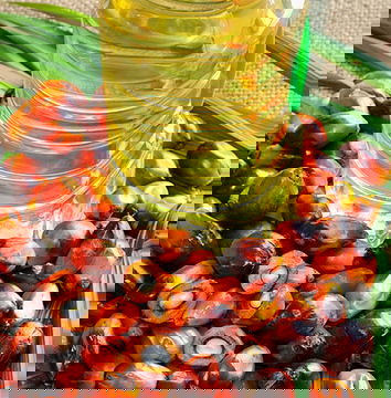 Olio di palma, qualche precisazione in più